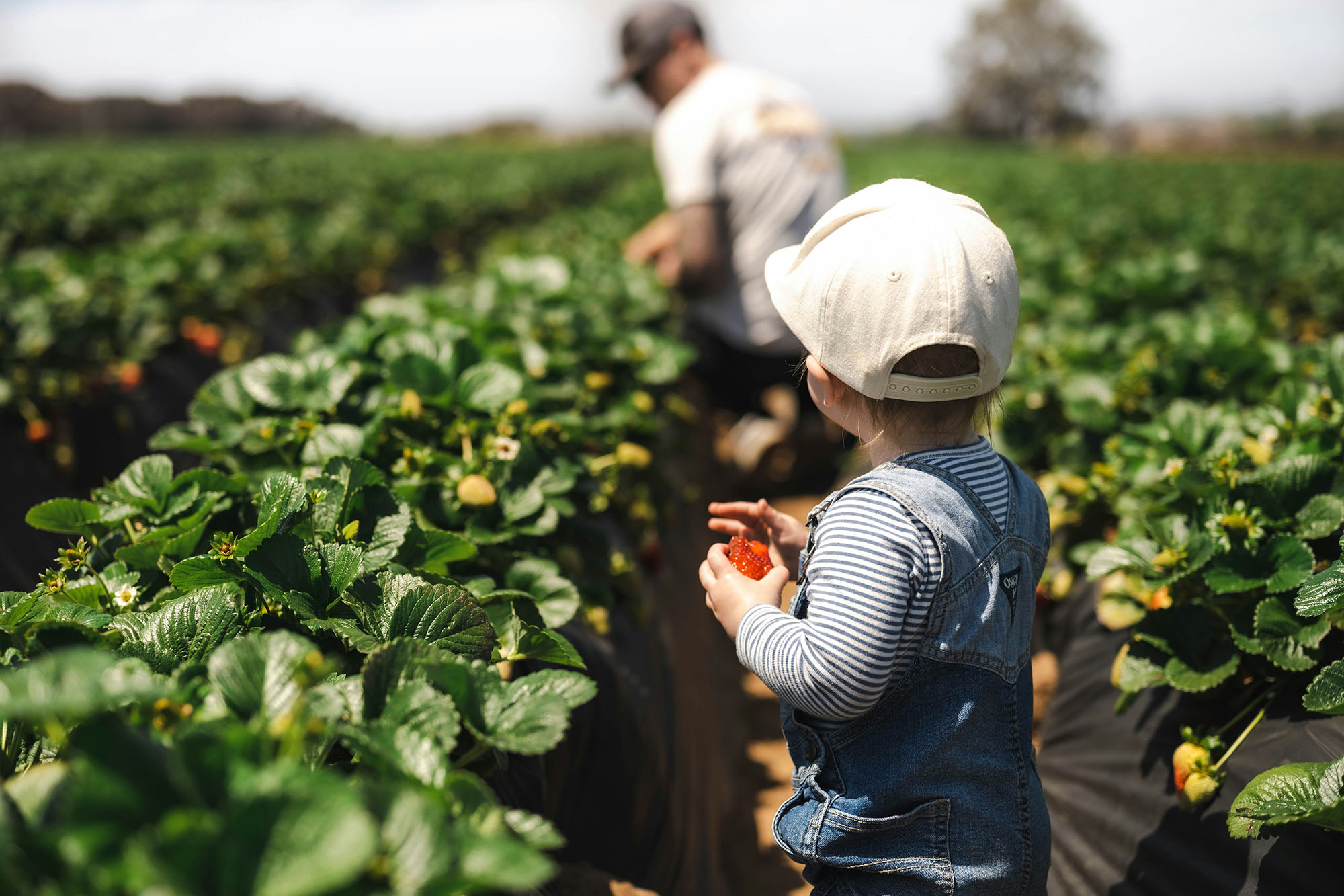 child and adult in field