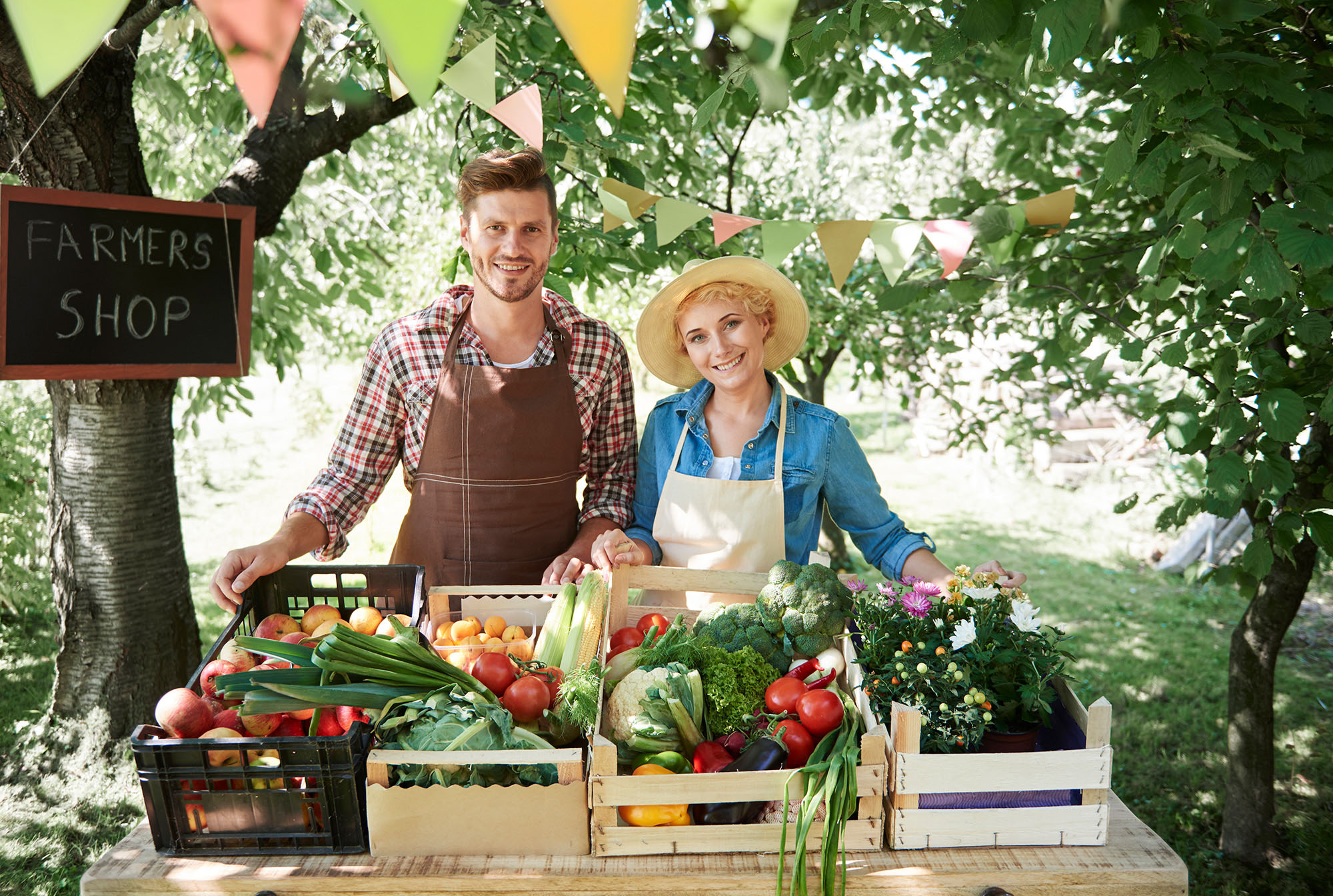 farmers market stand